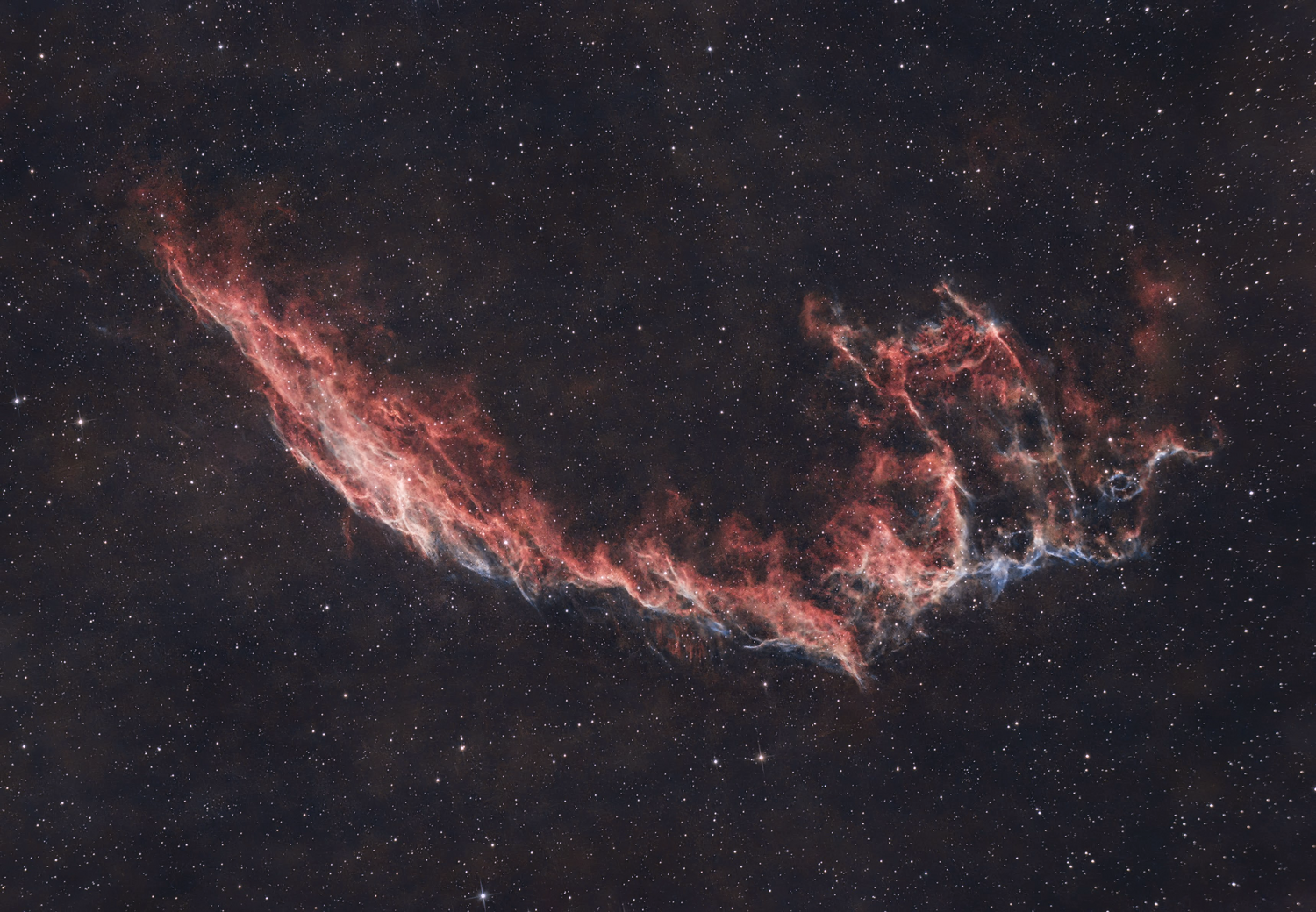 NGC6992_2025-70x240s_v2.thumb.png.fc256f19eef629d08ab427a95a2245be.png