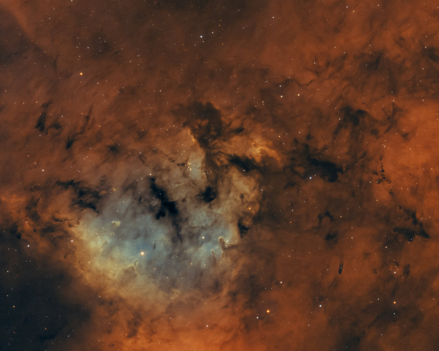 NGC 7822.jpg