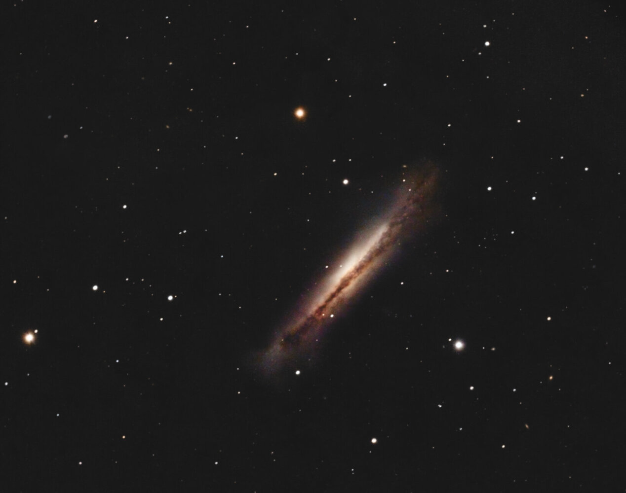 ngc3628-C8-red0.5-atik460ex-LRVB-r75.thumb.jpg.7137f6349c0be44408a8eb8323a79201.jpg