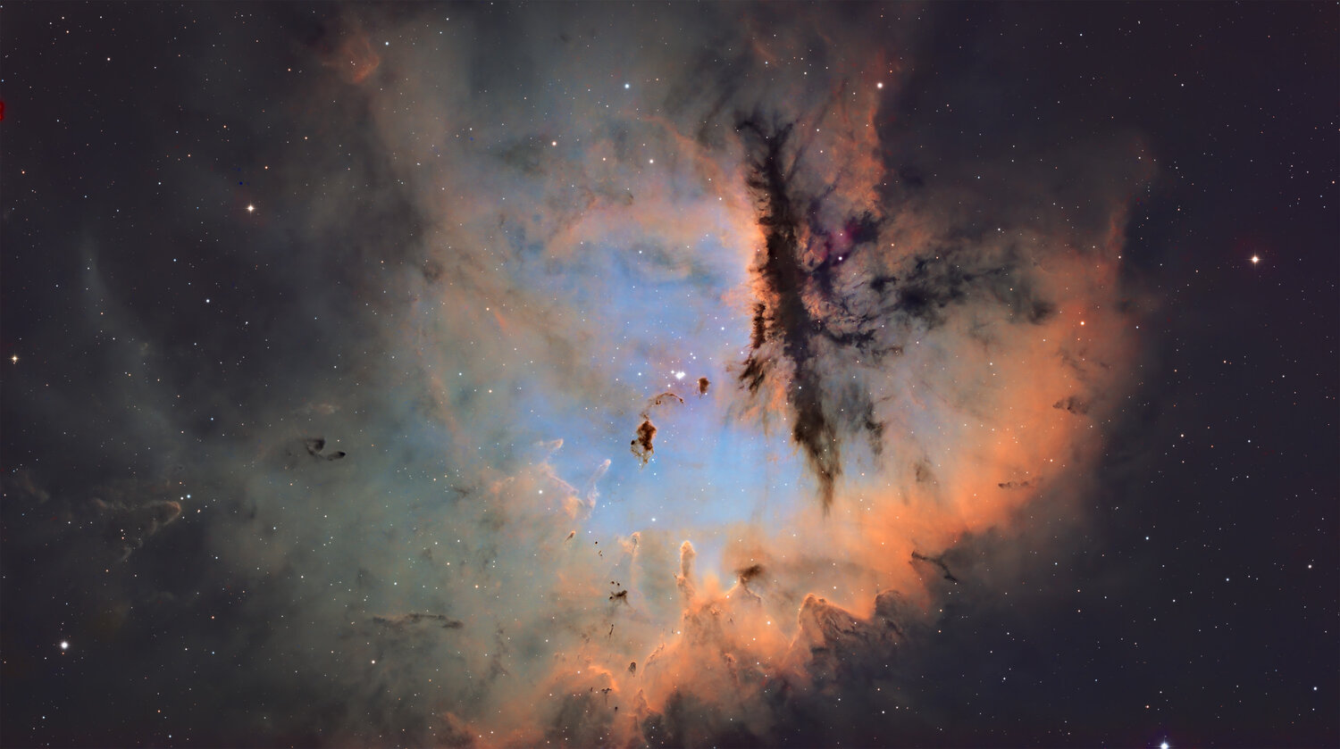 IC1590.thumb.jpg.d7dd88b6abd82f5cd851ee389a969ef9.jpg