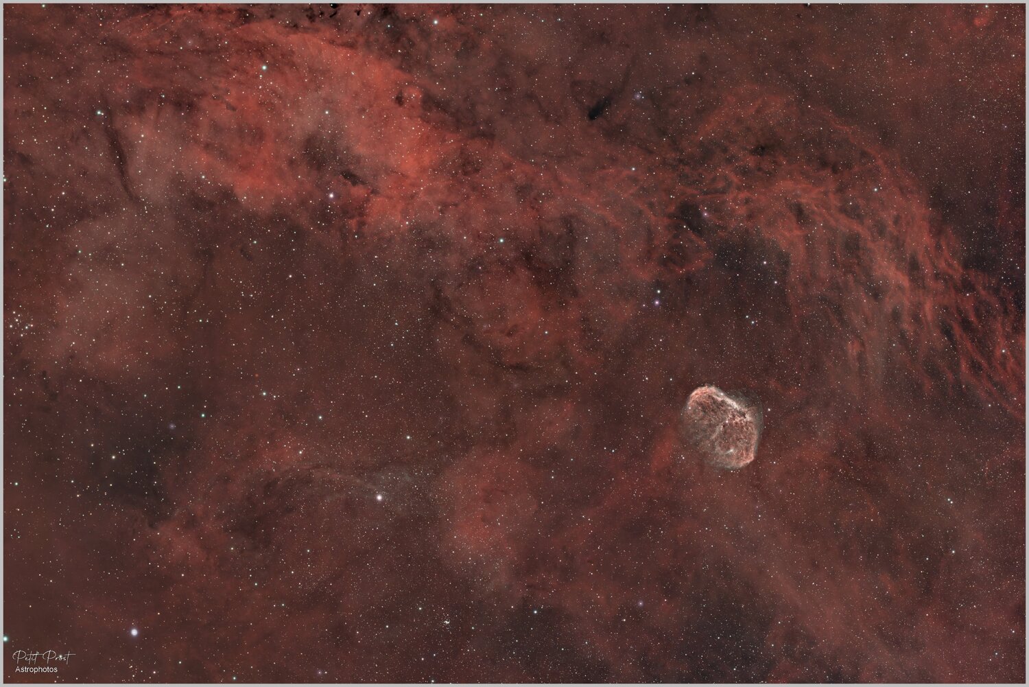 NGC6888_RVB_Final_Sign.thumb.jpg.67ddd8c3affee8cdcc90a5f9fcc21139.jpg