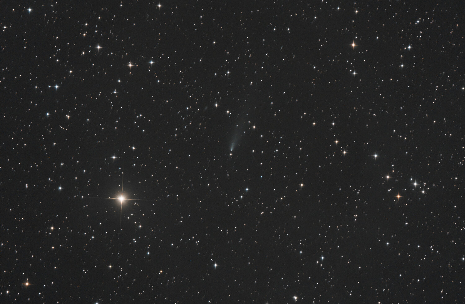 240P Neat_SIRIL-cs5-2-FINAL-3-x.jpg