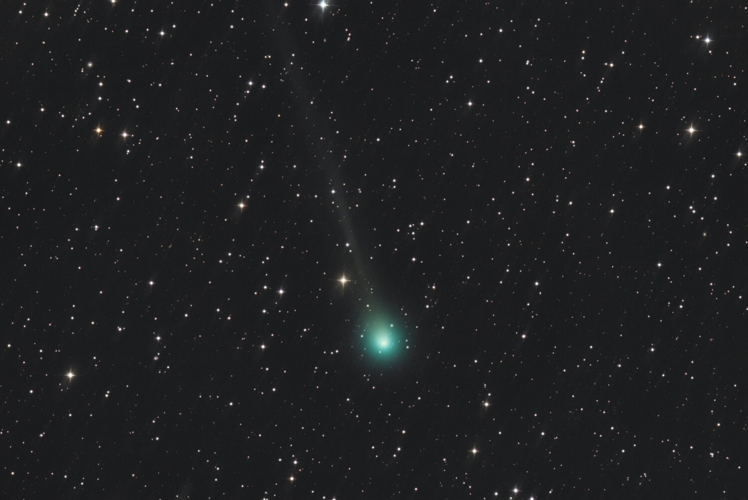 C2025 A6_SIRIL-RVB-cs5-4-FINAL-2-y.jpg