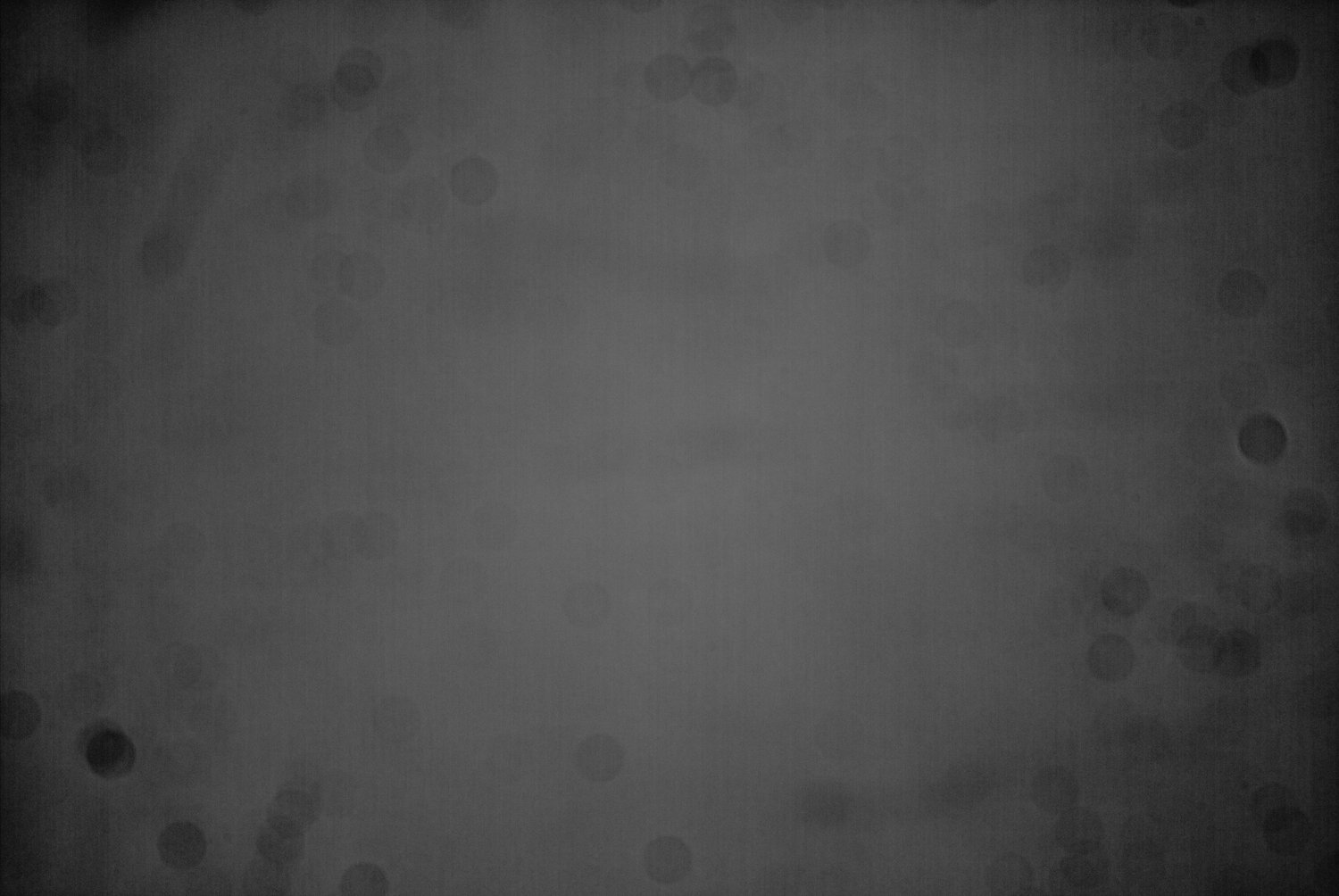 FLAT NINA OMEGON_stacked.jpg