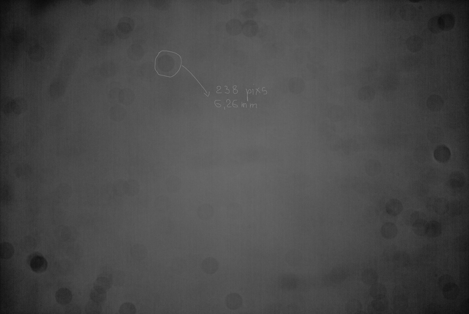 FLAT NINA OMEGON_stackedb.jpg