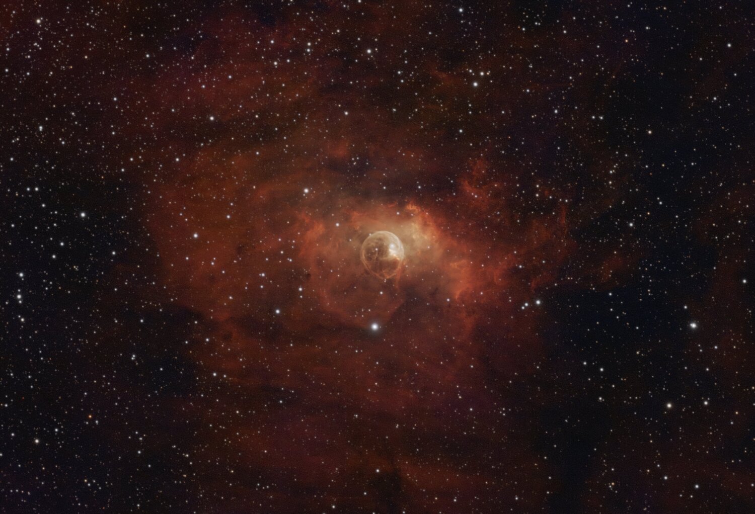 ngc7635-denoise.thumb.jpg.3e9c8512654fc842f55ab4cd7dc203e2.jpg