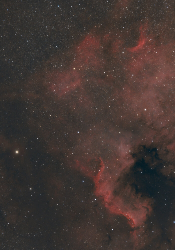 starless_2025-09-05_NGC7000_93im-graxpert-siril-strech.thumb.jpg.006e4d80d0541f0f8afd08b5d3eb126e.jpg