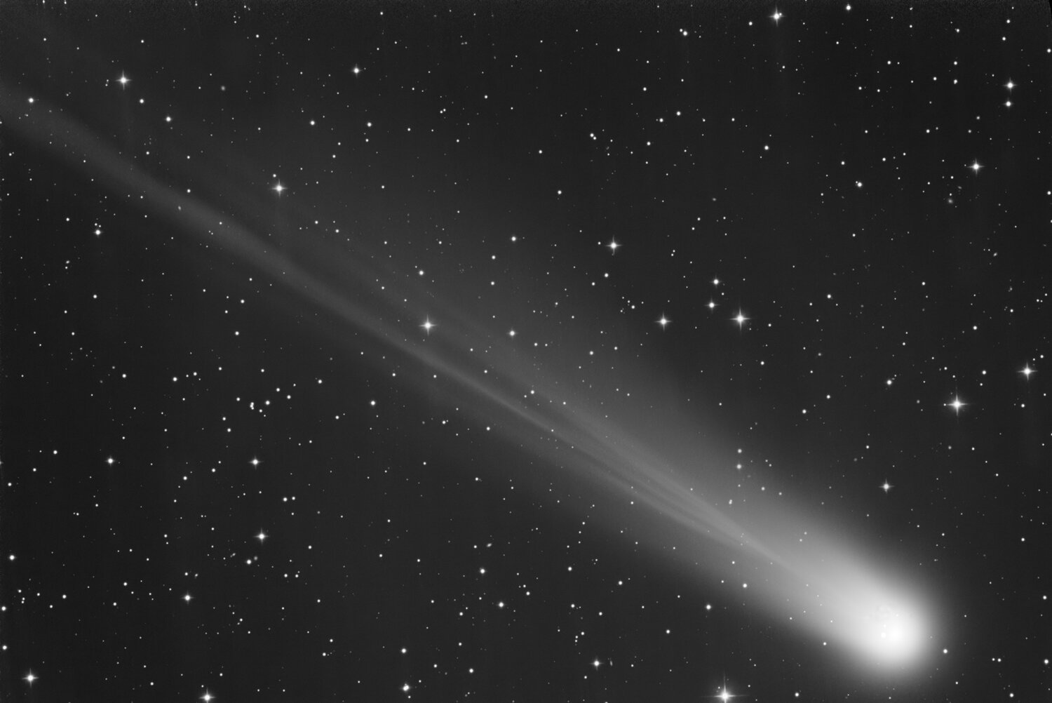 C2025 A6_SIRIL-L-cs5-4-FINAL-1-x.jpg