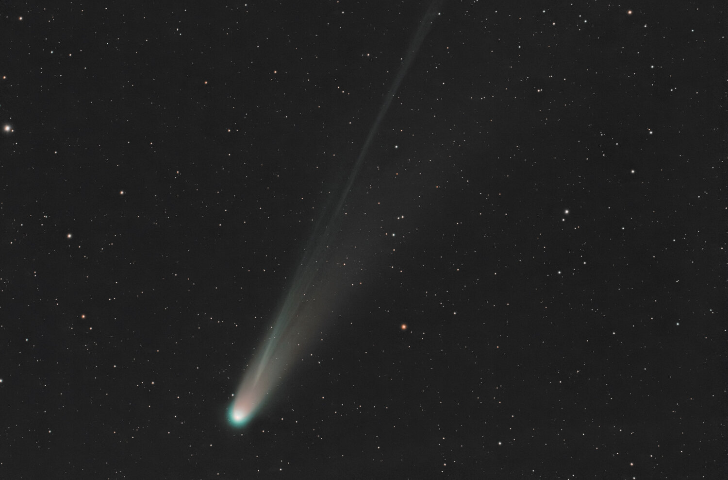 C2025 A6_SIRIL-RGB-cs5-4-FINAL-3-x.jpg