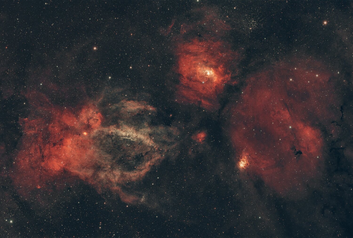 Homard + bulle FRA400 crop.jpg