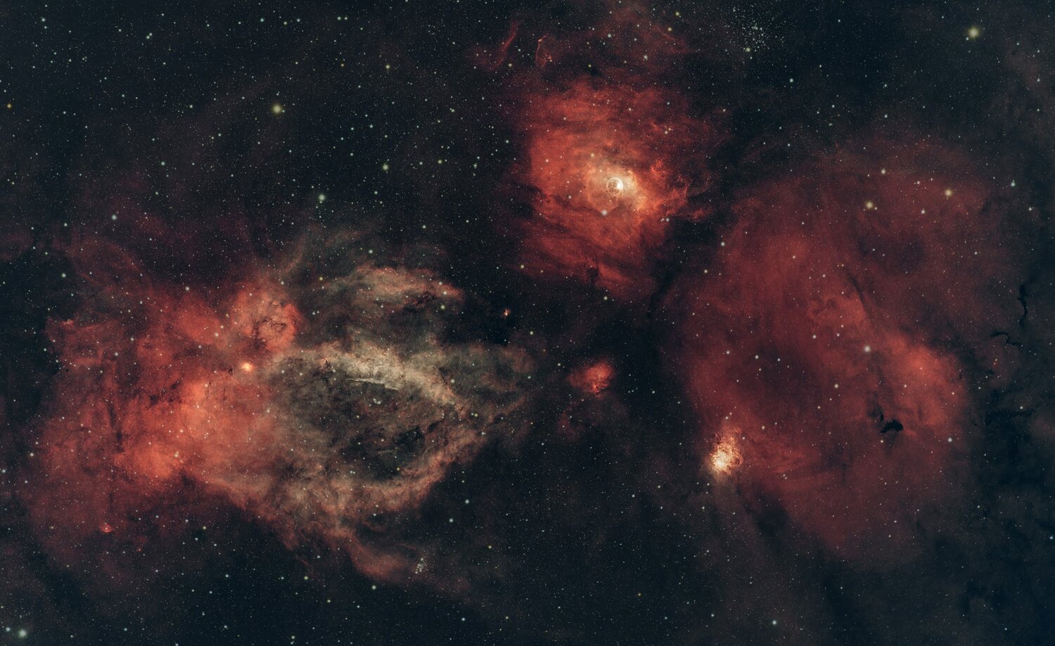 Homard + bulle crop.jpg