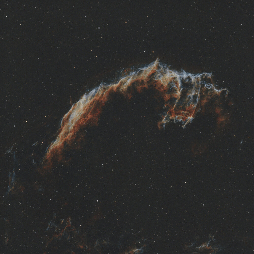 NGC6960_DENTELLES_SIRIL_HYSTO_STARLESS_GIMP.thumb.jpg.10a95929f9693500c944cb6e96480ba4.jpg