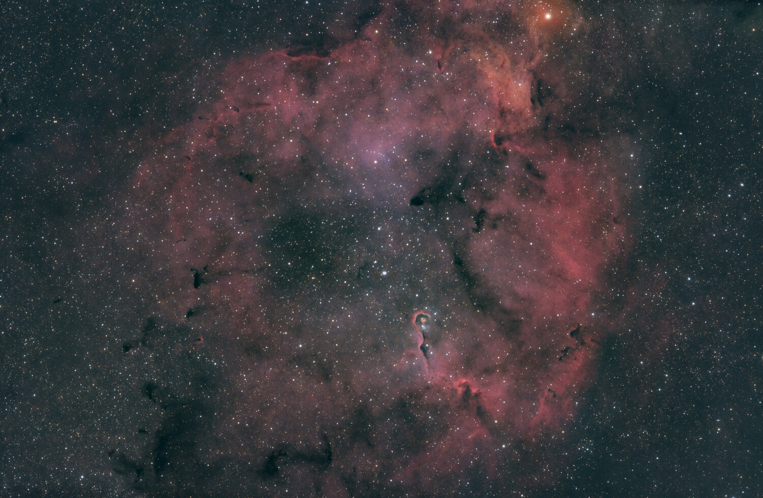 starless_2025-10-11_IC1396_208im_Strech-astro.thumb.jpg.d92880686e7ce4b7eb0d79fa568ca184.jpg