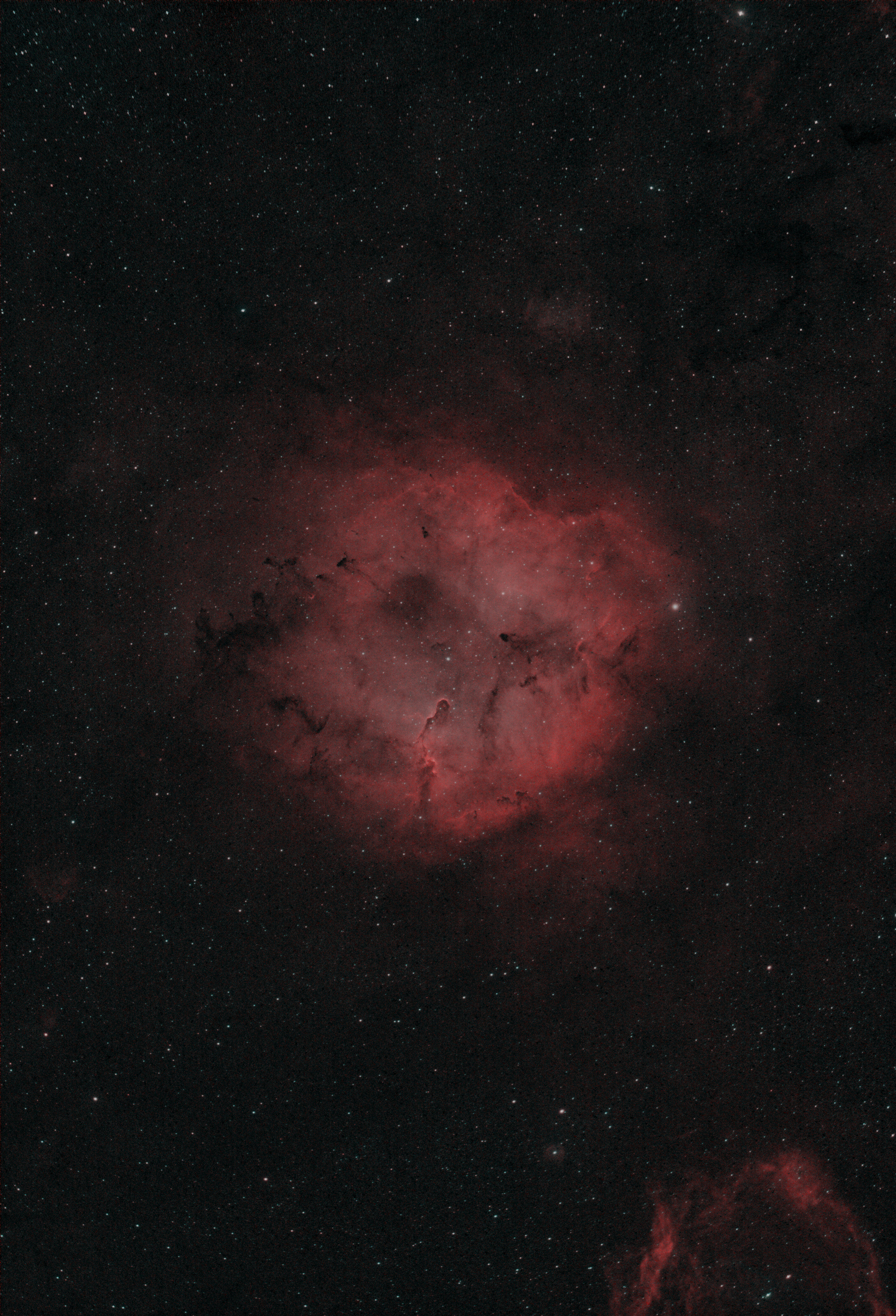 IC1396-HHOO.jpg.22da92844c5f2bcbe982aaf9fcf9503a.jpg