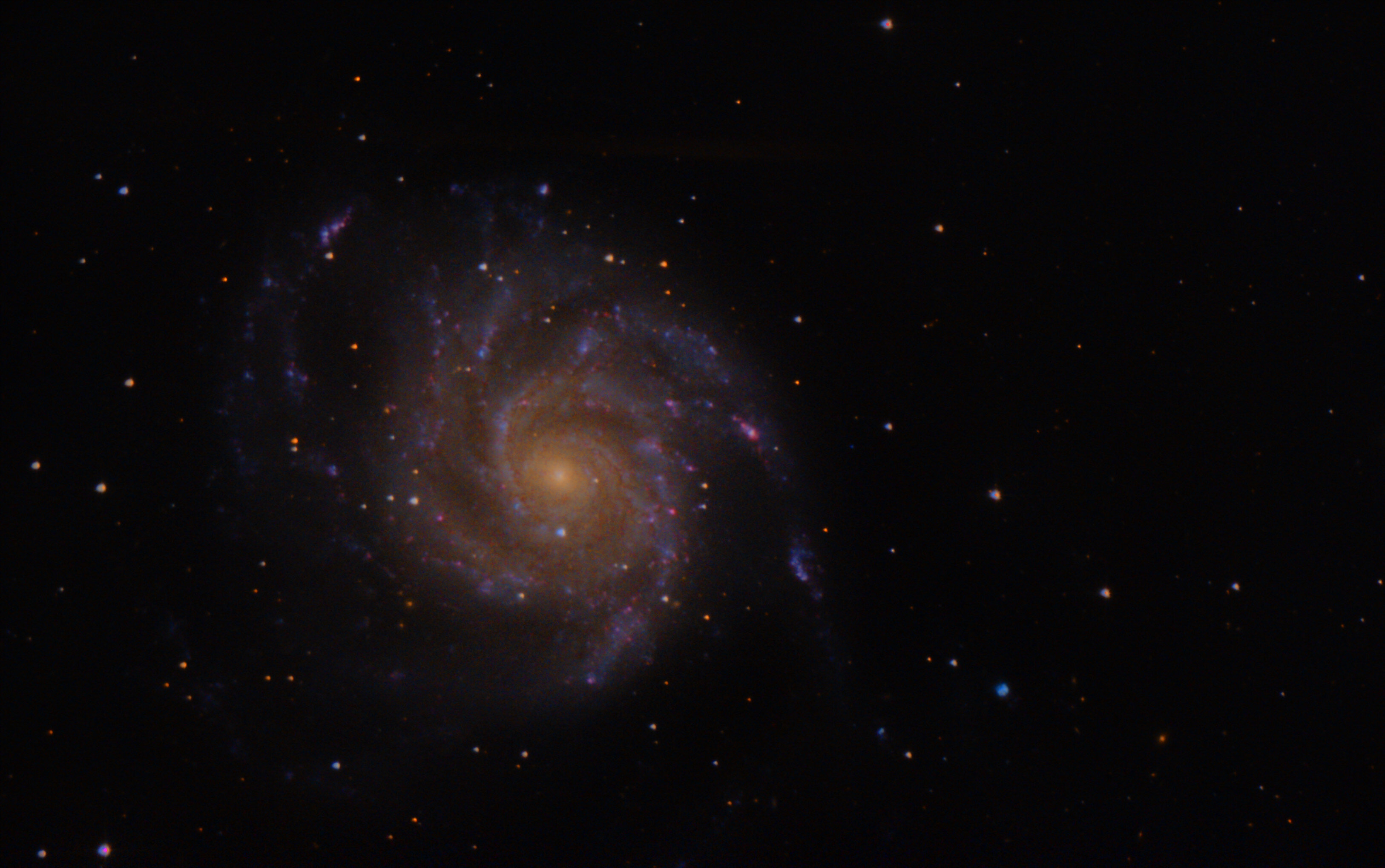 Plus d’informations sur «&nbsp;M101&nbsp;»