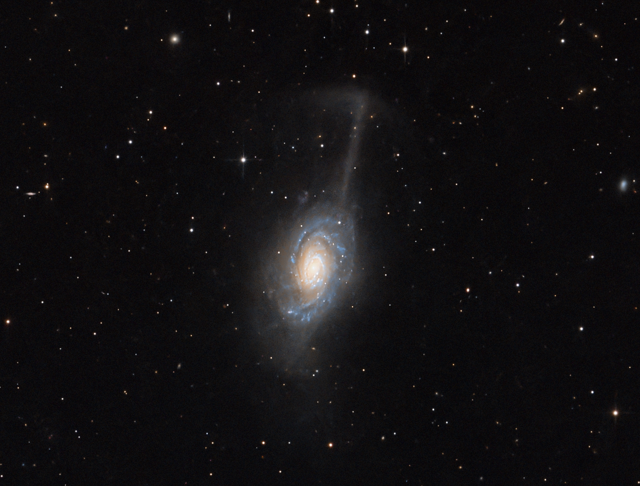 NGC4651Ombrelle44x180s100.thumb.png.d0212822dd4dd4c193a60d0e120aa29b.png