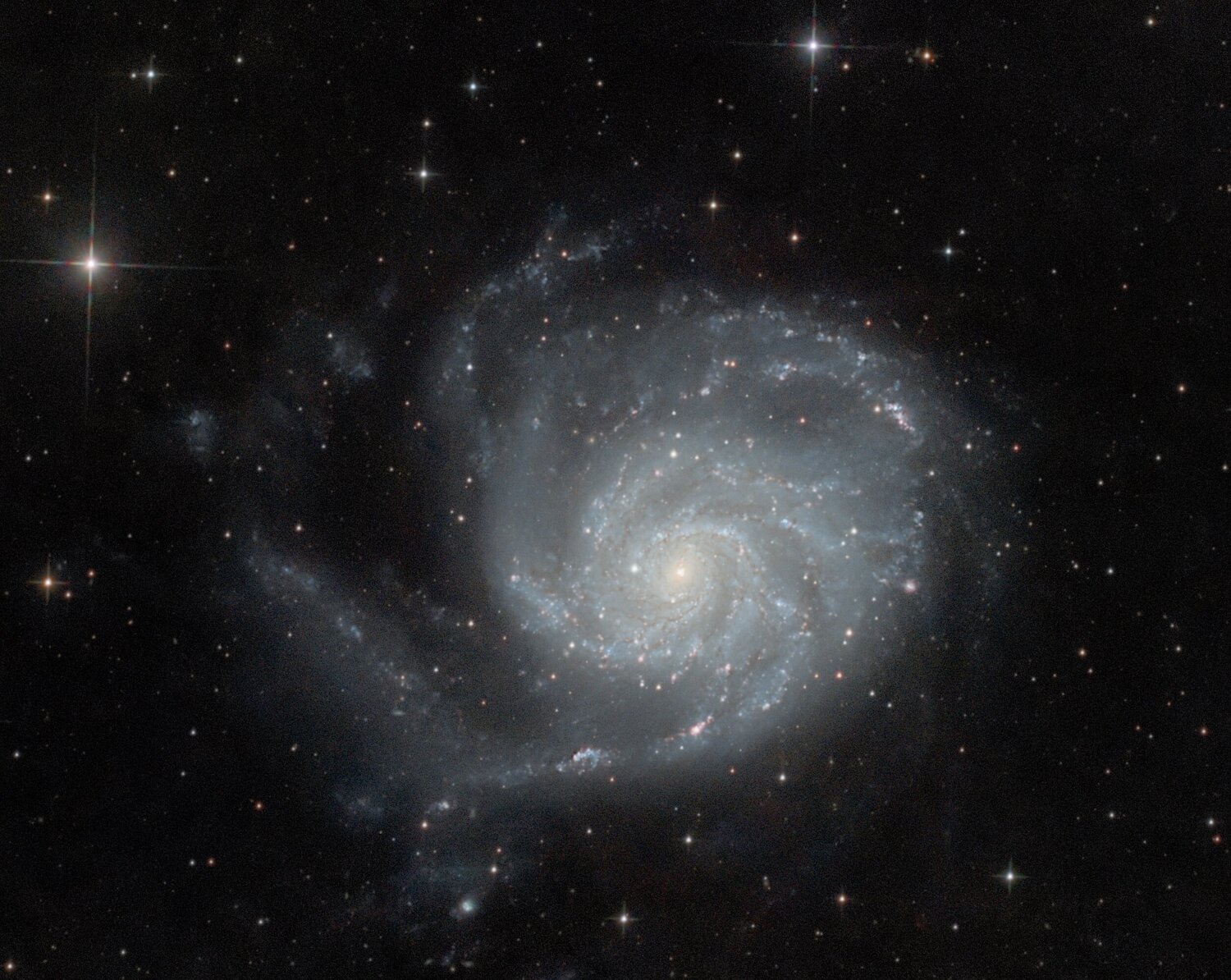 m101fin3ccrop (2).jpg
