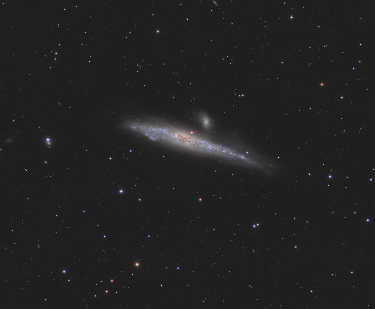 NGC4631-C8-F5-atik460ex-LRVB-SP-v2.thumb.jpg.5ec810800eb0a26170c7a7cb988ca4c0.jpg