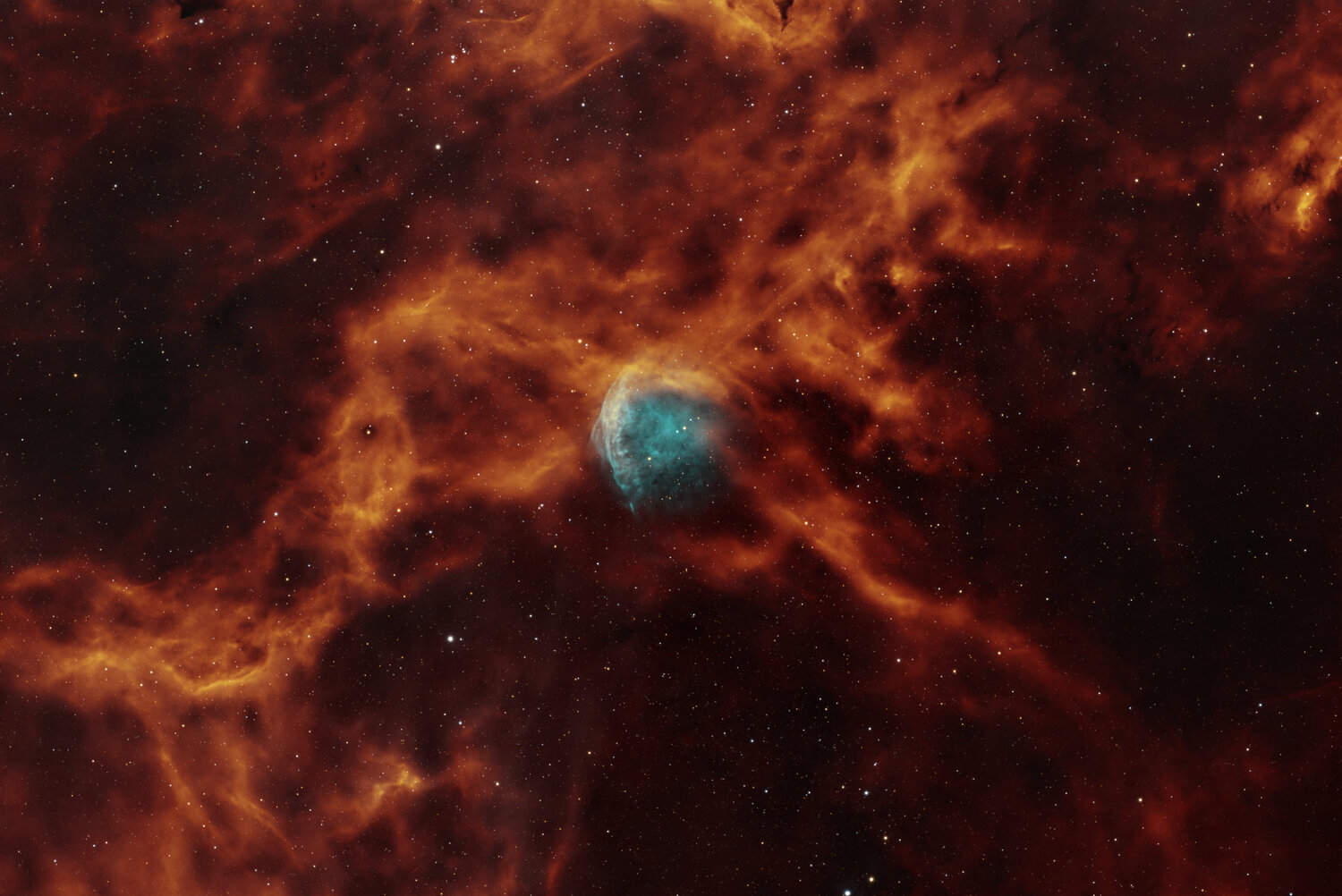 WR134_DynamicInverse_2.thumb.jpg.155a0b6ab973f1f85191f25e632e5f39.jpg
