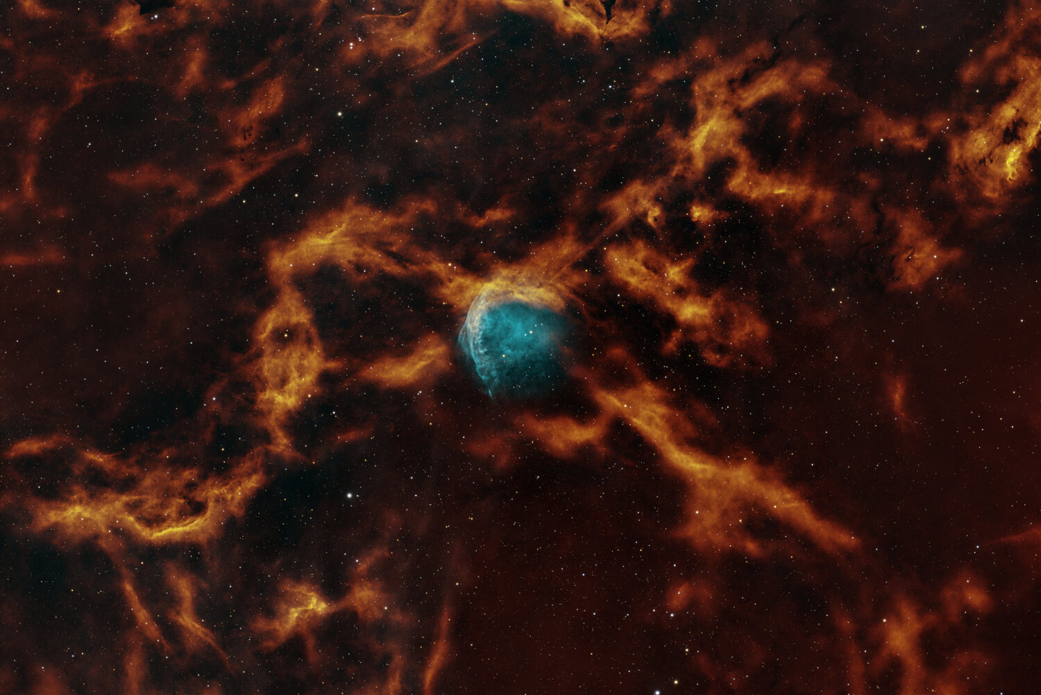 WR134_DynamicInverse_3_reduction.thumb.jpg.4eda2a5e2ced84dc2b1c1d60a2491f49.jpg