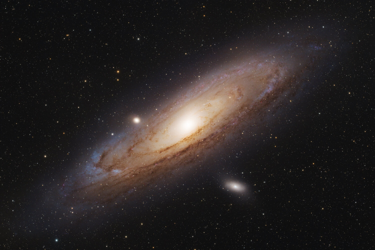 M31_2026_FINAL_6.thumb.jpg.1ae87dd5a15d5537e59b47d39af499d0.jpg
