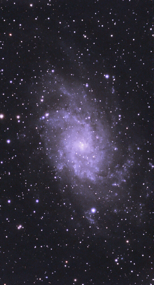 M33_astrowizard4_neo_42_min.thumb.jpg.12bfed033718bc6b7eecdf7ccb2d9442.jpg